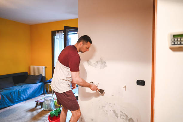 Best Mold Cleaning Services  in Spring House, PA